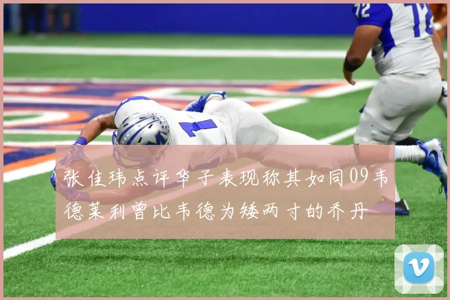 张佳玮点评华子表现称其如同09韦德莱利曾比韦德为矮两寸的乔丹