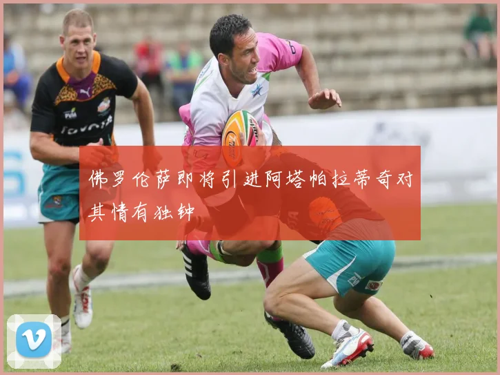 佛罗伦萨即将引进阿塔帕拉蒂奇对其情有独钟